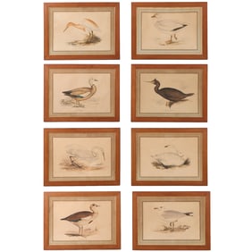 A SET OF EIGHT ANTIQUE ORNITHOLOGICAL LITHOGRAPHS.