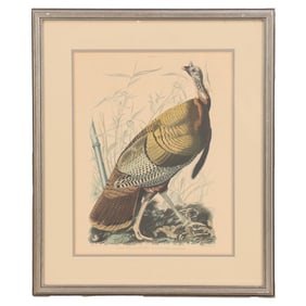 AFTER AUDUBON WILD TURKEY PRINT