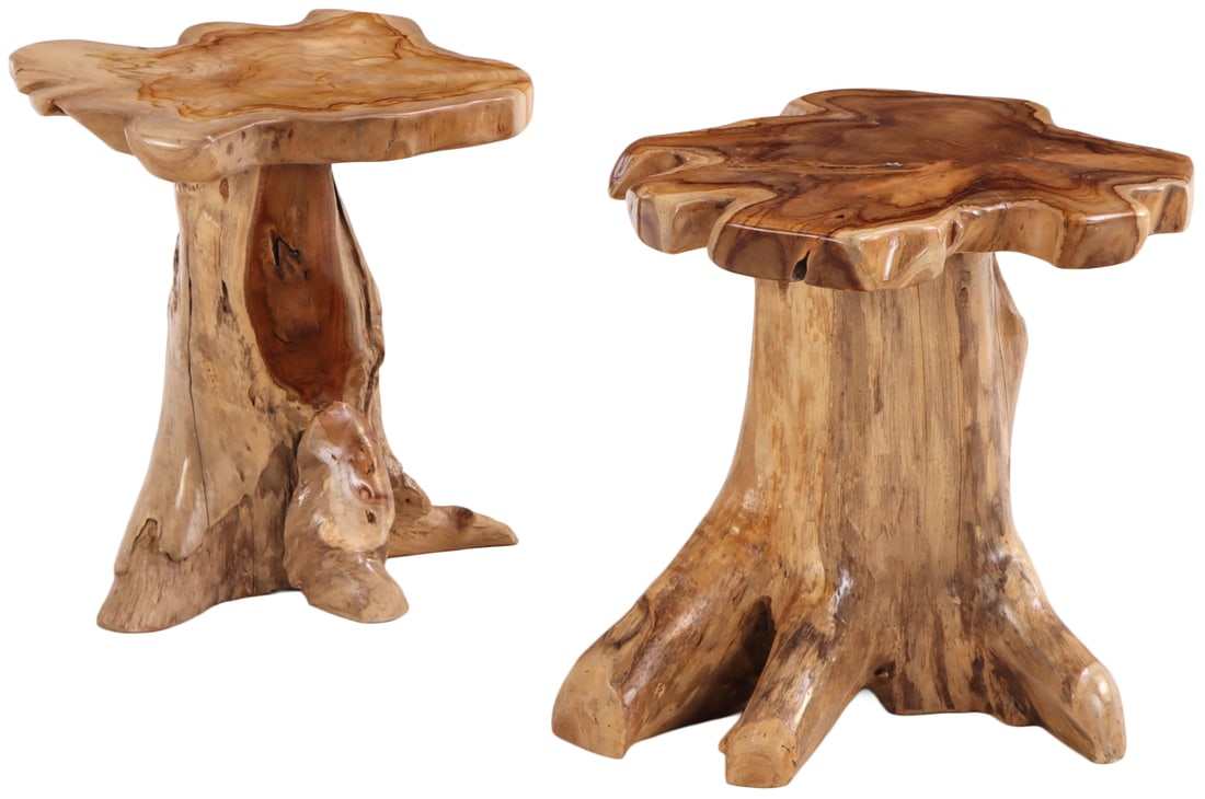 PAIR LIVE EDGE ROOT END TABLES. (1 of 4)