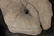 UNUSUAL PR CARVED LIMESTONE HANDS FLAG HOLDER - 4