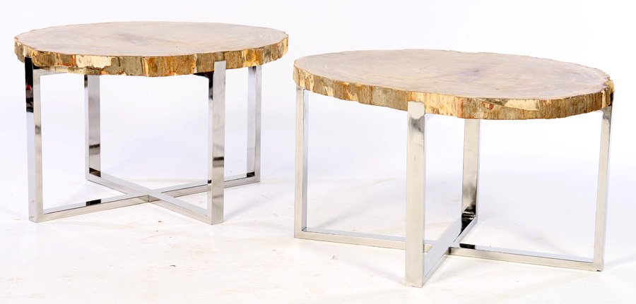 PAIR PETRIFIED WOOD SIDE TABLES BARK EDGES (1 of 4)