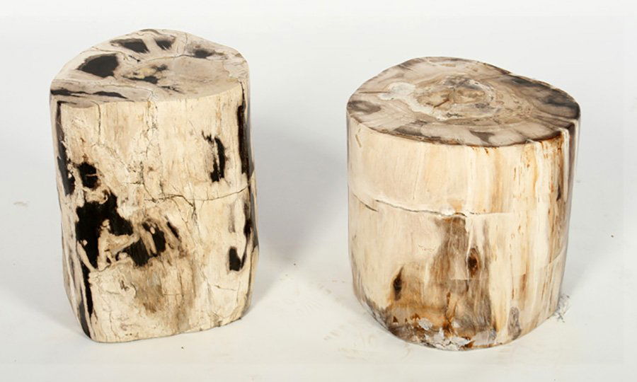 2 PETRIFIED WOOD STUMP FORM SIDE TABLES OR SEATS (1 of 5)