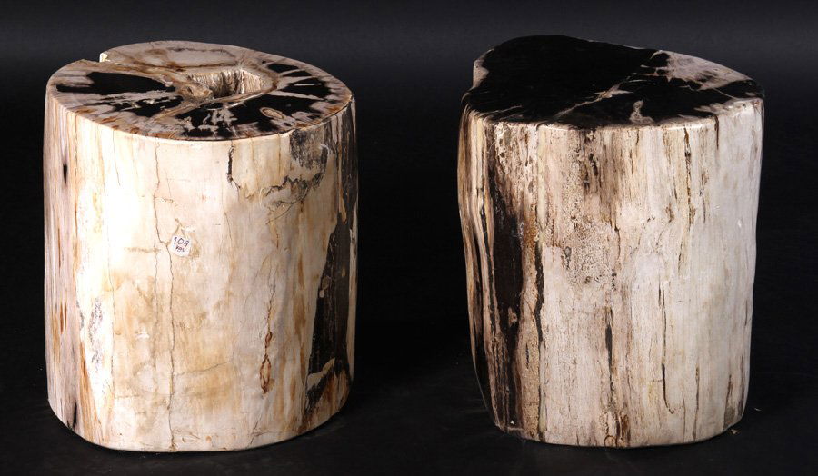 PAIR PETRIFIED WOOD STUMP FORM SEATS (1 of 4)