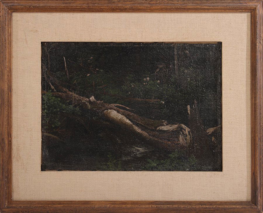 A DOWNED TREE OIL ON CANVAS PAINTING UNSIGNED (1 of 3)
