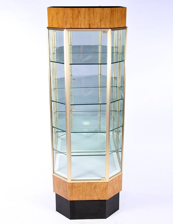 MID CENTURY MODERN DISPLAY CASE VITRINE C. 1960 (1 of 5)