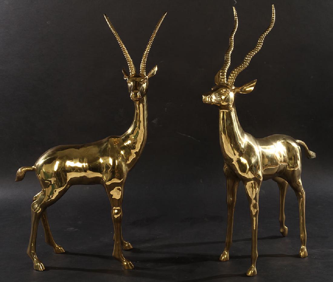 A PAIR OF LIFE SIZE POLISHED BRASS GAZELLES: A pair of life size polished brass gazelles. Ht: 46.5" Width: 9.5" Depth: 31"