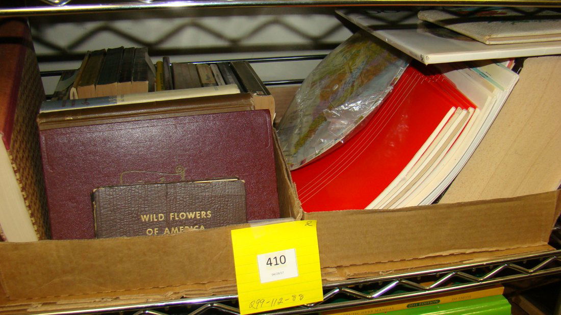 LANGUAGE-DICTIONARY- THEORY BOOKS (1 of 9)