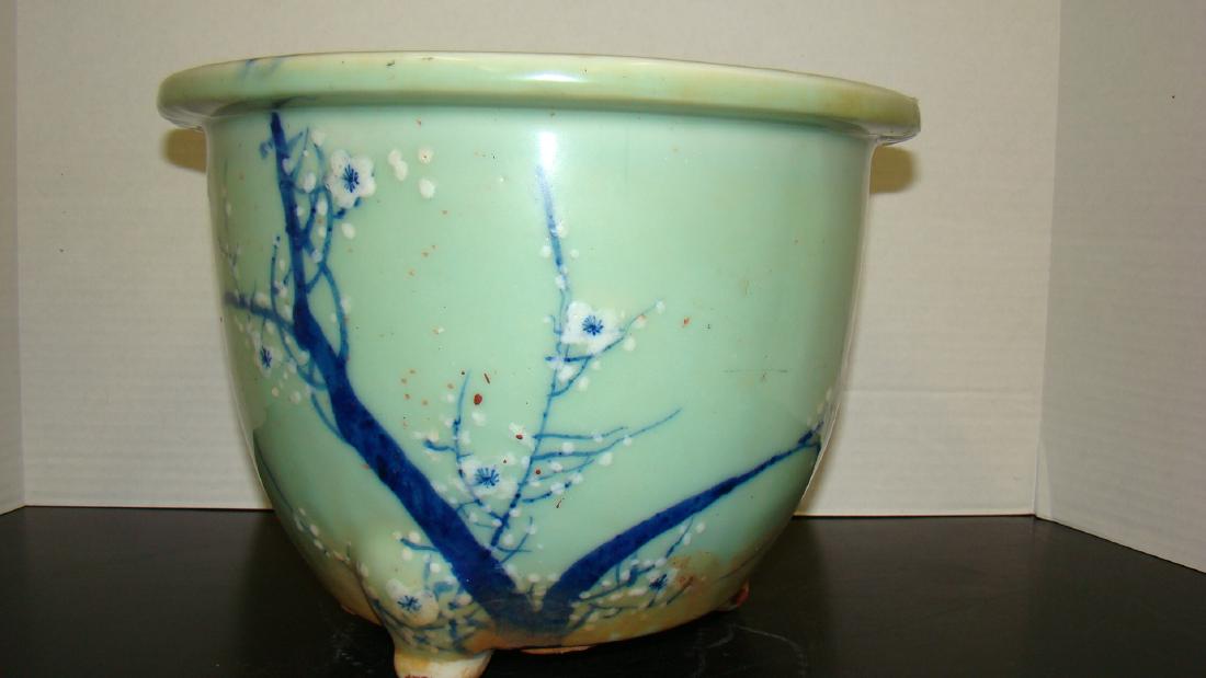 CELADON GREEN AND BLUE BONSAI POTTERY WHITE BLOSSO (1 of 10)