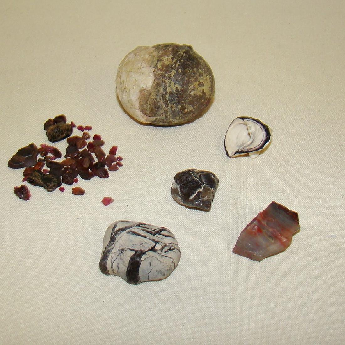 EGG SHAPED GEODE; UNUSUAL STONE MINERALS (1 of 5)