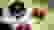 item-53916387=3