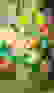 item-57756256=2