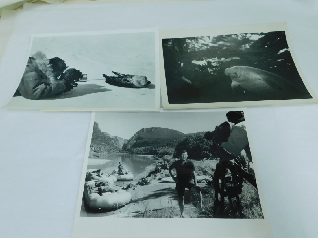PRESS PHOTOS-EARLY JACQUES COUSTEAU AND MORE (1 of 9)