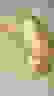 item-39386002=2