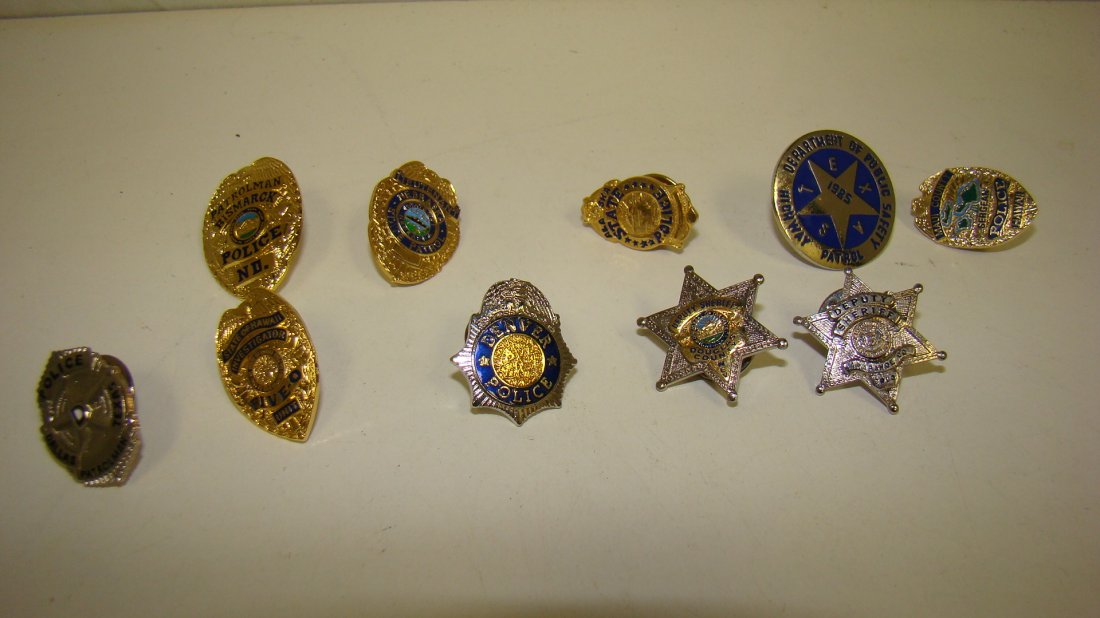 10 VARIOUS LAW ENFORCEMENT PINS (1 of 6)
