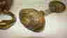 item-40112124=4