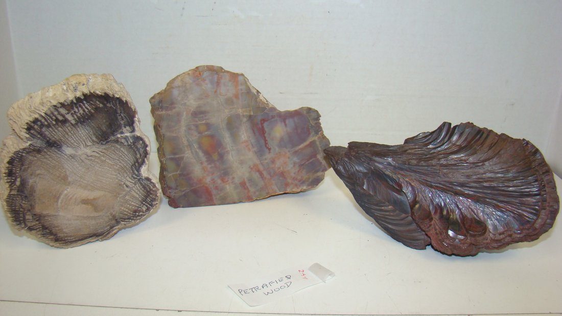 2 PCS PETRIFIED WOOD & A HEMATITE (1 of 6)