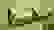 item-41168141=3