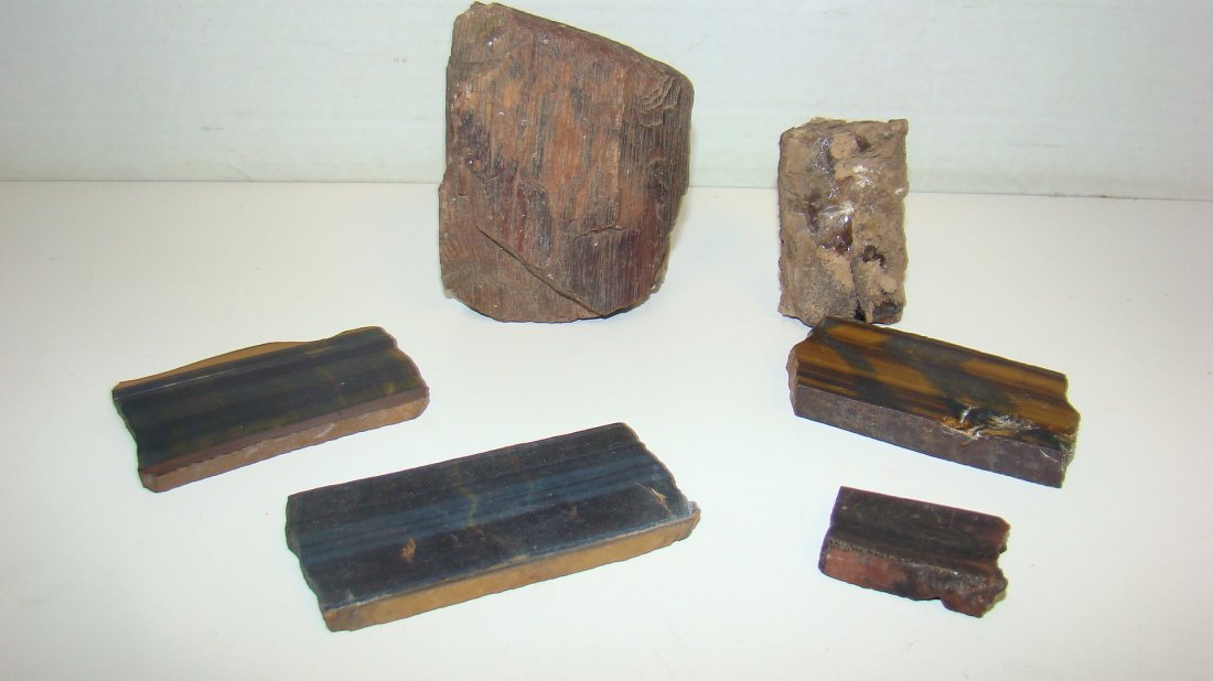 6 VARIOUS PCS OF PETRIFIED WOOD (1 of 5)