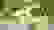 item-42002527=4
