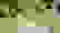 item-42002527=5