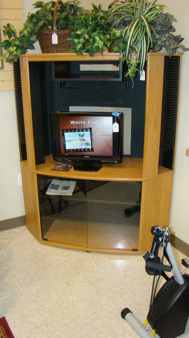 CORNER TV CABINET: CORNER TV CABINET - UPPER SPACE FOR DVD PLAYER - LEFT SIDE HAS UPPER CD RACK - BOTTOM GLASS DOORS FOR STORAGE - MIDDLE OPEN SECTION MEASURES APPROX 26''x 31'' - 59''x 12''x 52'' - GOOD CONDITION - BUY