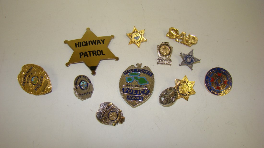 12 VARIOUS LAW ENFORCEMENT PINS: 12 VARIOUS LAW ENFORCEMENT PINS - HIGHWAY PATROL STAR PIN - MAUI COUNTY POLICE BADGE - YUMA PATROLMAN BADGE - POLICE ACADEMY PIN - SAP PIN - AND VARIOUS OTHERS