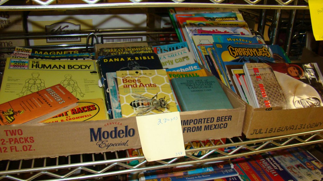 2 BOXES VARIOUS EDUCATIONAL & FUN BOOKS (1 of 3)