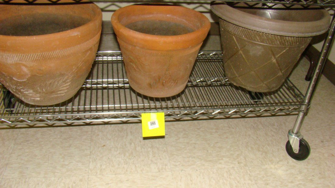 2 TERRACOTTA POTS & A PLASTIC POT (1 of 1)