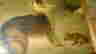 item-46469340=2
