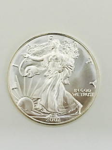 2002 Silver Dollar Coin .1 troy oz Liberty In God we: 2002 Silver Dollar Coin .1 troy oz Liberty. In God we trust. Sticker, we the people. Rare American eagle coin.