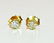14k Yellow Gold Diamond Studs