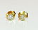 14k Yellow Gold Diamond Studs