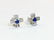 14K Gold. 1.00 CT diamond & Blue Sapphire Stud Earrings - 2