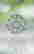 item-120900562=2
