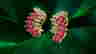 item-121019161=2
