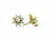 item-121019171=2
