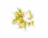 item-121307515=2