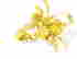 item-121307515=4