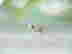item-131358517=6