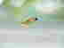 item-132475425=3