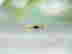 item-132475425=5