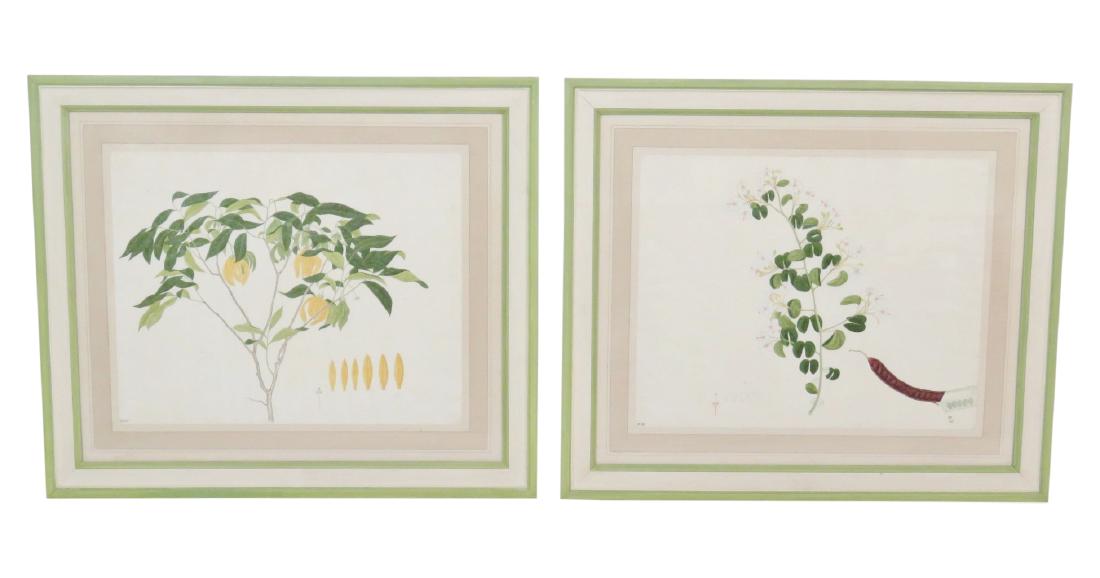 2 ASIAN PAINTINGS of VEGETABLES (1 of 10)