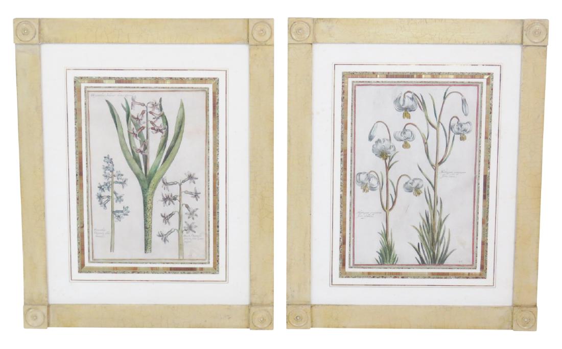 2 FLORAL BIOLOGY PRINTS (1 of 6)
