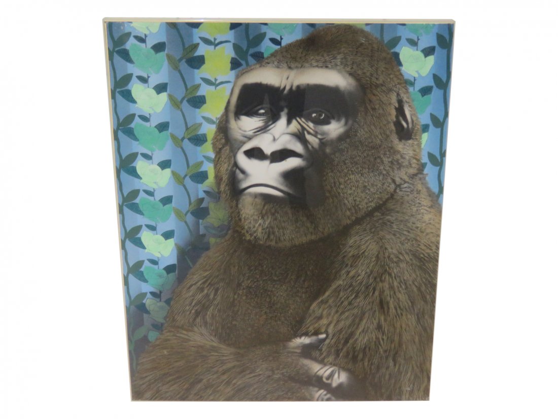 TOM PALMORE GORILLA in BLUE BACKGROUND (1 of 10)