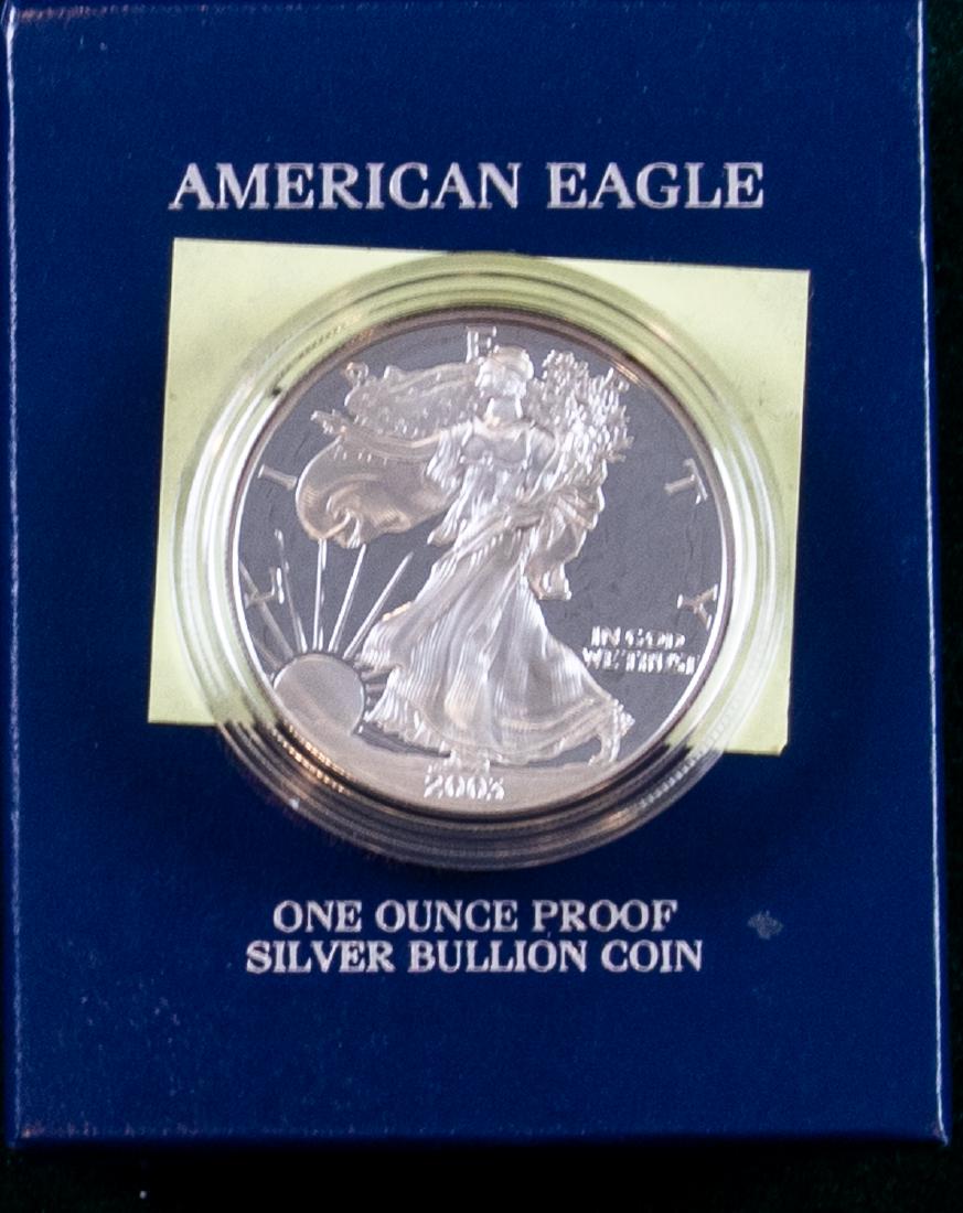 4 - 2003 AMERICAN EAGLE PROOFS (1 of 2)
