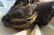ANTIQUE SHRUNKEN HEAD - 11
