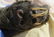 ANTIQUE SHRUNKEN HEAD - 12