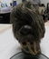 ANTIQUE SHRUNKEN HEAD - 2