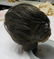 ANTIQUE SHRUNKEN HEAD - 4