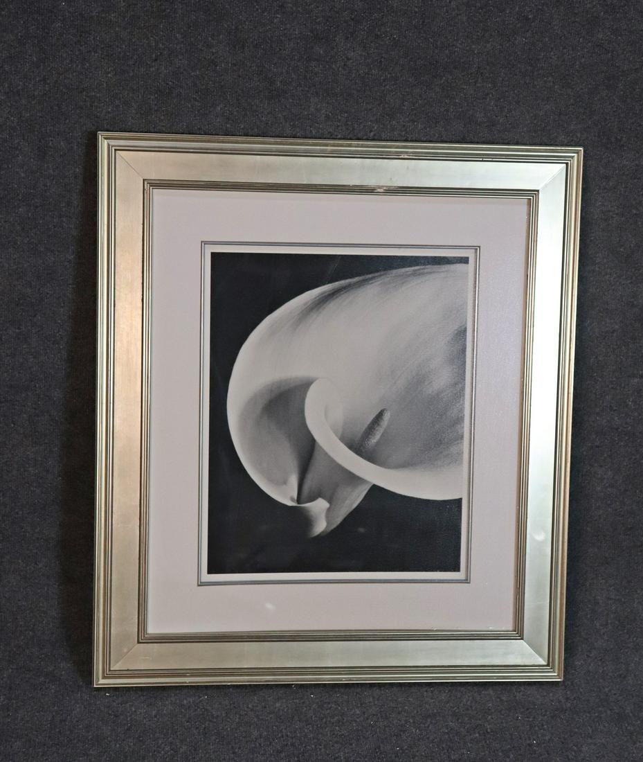 PHOTOGRAPH  OF FLOWER IN SILVER LEAF FRAME (1 of 6)